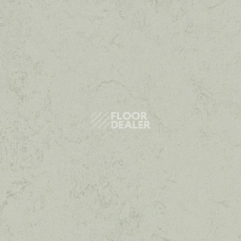Линолеум Forbo Marmoleum Decibel on Order 373235 asteroid фото 1 | FLOORDEALER